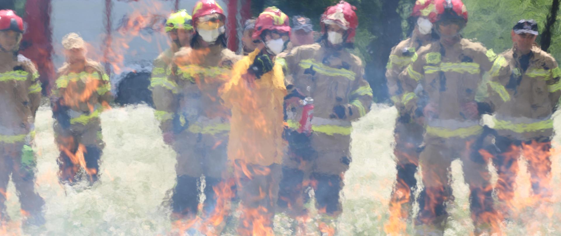Łąka, a na niej palące się siano. Na całej połaci ustawieni w różnych pozycjach i z różnym sprzętem gaśniczym strażacy. Zdjęcie rozmyte.