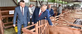 Wiceminister Zarudzki zwiedza wystawę bydła mięsnego