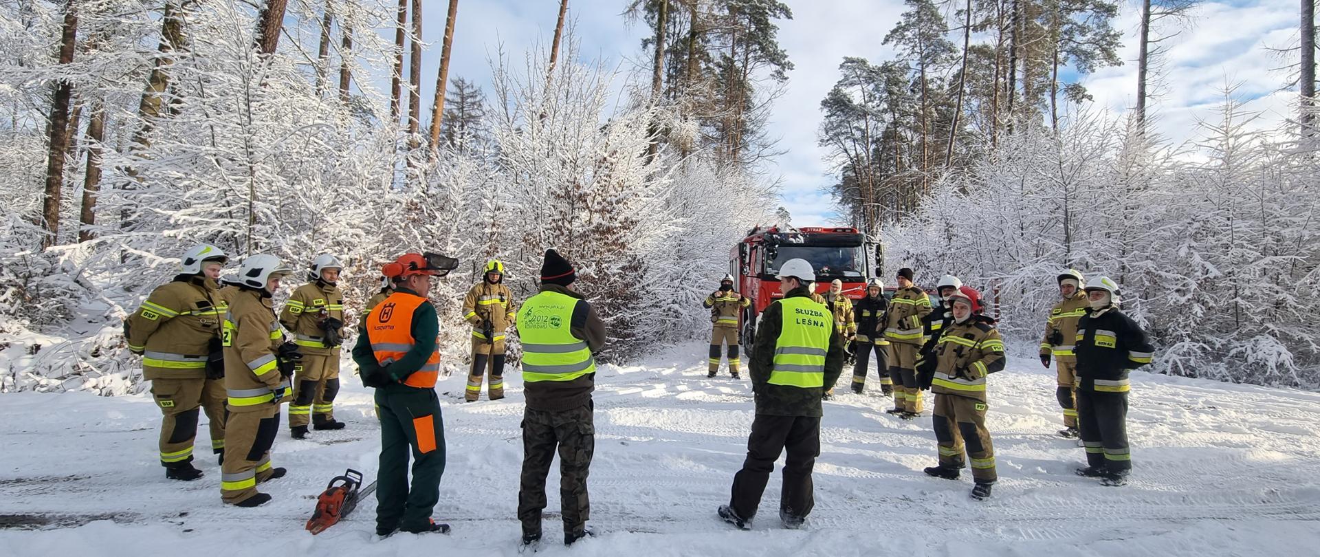 Strażacy z instrukcją leśniczego i pilarzy realizują ćwiczenia w lesie - przerzynka drewna, okrzesywanie, podnoszenie kłody
