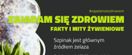 Szpinak