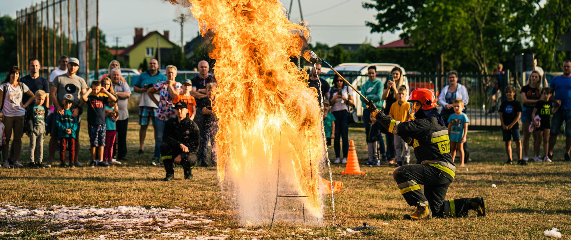 Pokazy w Nakielnie i Szwecji