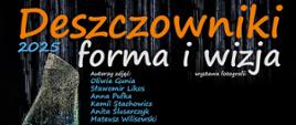 Plakat informujący o wystawie fotograficznej Deszczowniki forma i wizja. Tytuł wystawy jest na samej górze plakatu. Poniżej są wymienieni autorzy wystawy. Po lewej stronie jest zdjęcie szklanego wazonu. Plakat posiada czarne tło.
