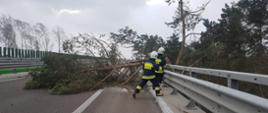 Zdjęcie przedstawia strażaków usuwających złamane drzewo leżące na jednym pasie drogi blokujące przejazd na obwodnicy Wałcza