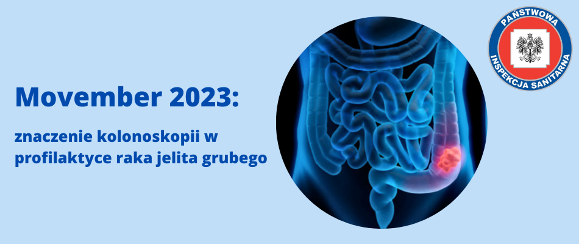 W centrum banneru jest okrągła ilustracja przedstawiająca ilustracja 3D raka jelita grubego - guz jelita grubego. Po lewej stronie widnieje tytuł "Movember 2023:" oraz podtytuł "znaczenie kolonoskopii w profilaktyce raka jelita grubego ". Po prawej stronie u góry widnieje logo z napisem "PAŃSTWOWA INSPEKCJA SANITARNA".
