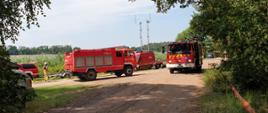 W centralnym punkcie pojazdy gaśnicze, które są w kolorze czerwonym i posiadają sygnalizację ostrzegawczą. Znajdują się na drodze leśnej. Widać samochód SLDł z rozłożonymi antenami. Po lewej i prawej stronie drzewa. Korony zielone.