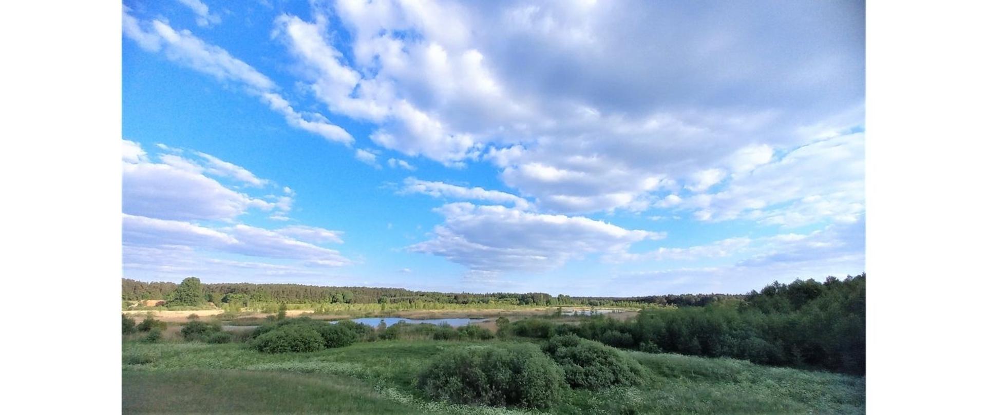 Na zdjęciu jest rezerwat przyrody Bagno Nadrowskie. W centralnej części zdjęcia w oddali widać zbiornik wodny, w znacznej części pokryty roślinnością szuwarową. Przed zbiornikiem wodnym znajduje się zielona łąka i nieużytki. W oddali zaś widać las. Zdjęcie wykonano podczas słonecznej pogody, na tle błękitnego nieba.