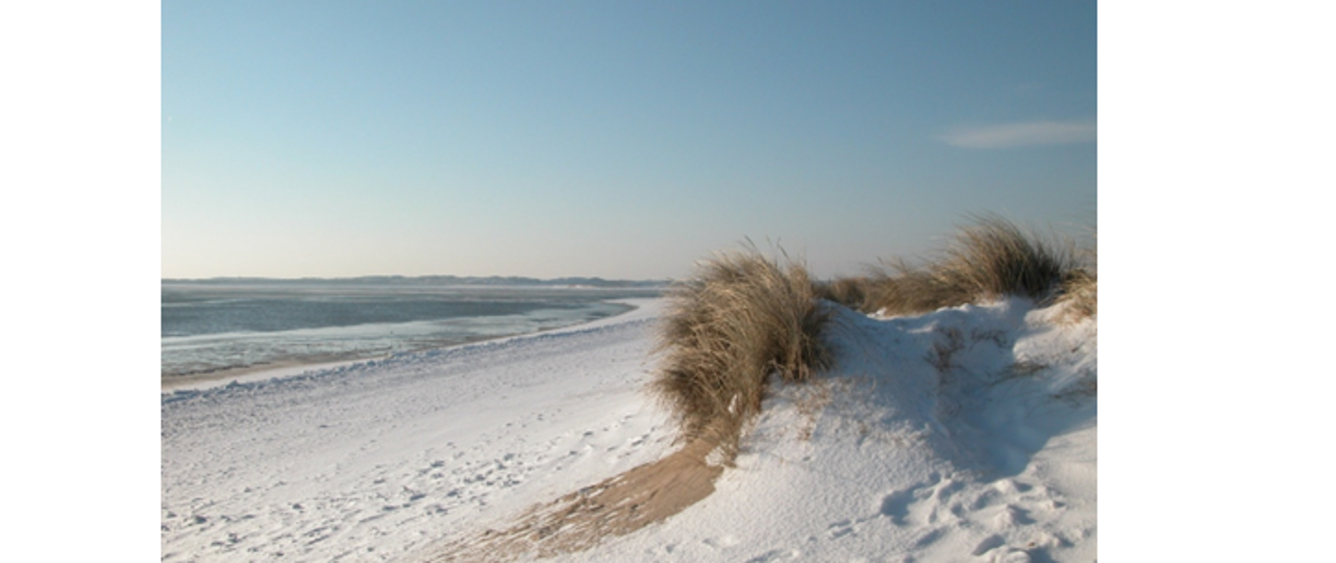 Zdjęcie przedstawia plażę w okresie zimowym. Po lewej stronie fotografii znajduje się niewzburzone morze. W centralnej części zdjęcia widoczna jest plaża pokryta śniegiem i małe wydmy z roślinnością oraz niewielki obszar piasku bez śniegu. Plaża jest pusta. W górnej części zdjęcia widać błękitne bezchmurne niebo. 