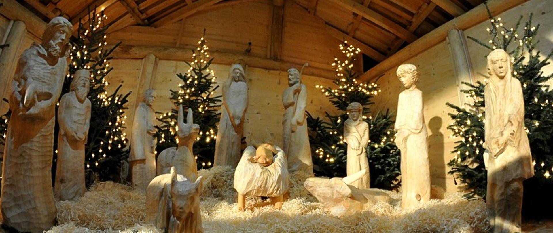 Na zdjęciu przedstawiona jest Szopka Bożonarodzeniowa zrealizowana przez uczniów PLSP im. Antoniego Kenara w Zakopanem. Figury wykonane są z drewna. Na pierwszym planie na podłodze ułożone są gałązki z jodełki. Na drugim planie znajdują się żłóbek z dzieciątkiem oraz postacie Matki Boskiej, Św. Józefa, trzech Króli i pastuszków. Obok żłóbka z dzieciątkiem od lewej strony znajduje owieczka i osioł, a po prawej stronie leży wół. Z tyłu znajdują się cztery oświetlone choinki. Całość przykryta jest drewnianym dachem. 