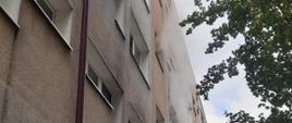 Zdjęcie przedstawia budynek mieszkalny wielorodzinny. Przed budynkiem widać dym. Na dole stoją strażacy 