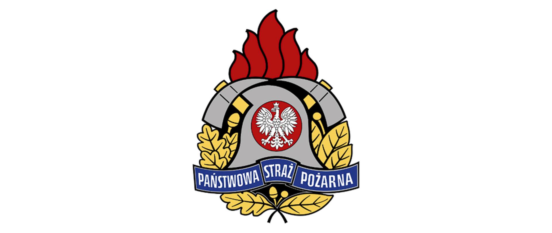 Logo PSP – w centrum znajduje się godło Państwa Polskiego, hełm strażacki i dwa toporki, otoczone płomieniem od góry i liśćmi dębu i wawrzynu z boków. Na niebieskiej wstędze napis Państwowa Straż Pożarna