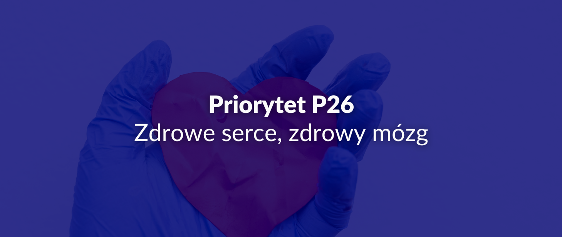 Priorytet P26