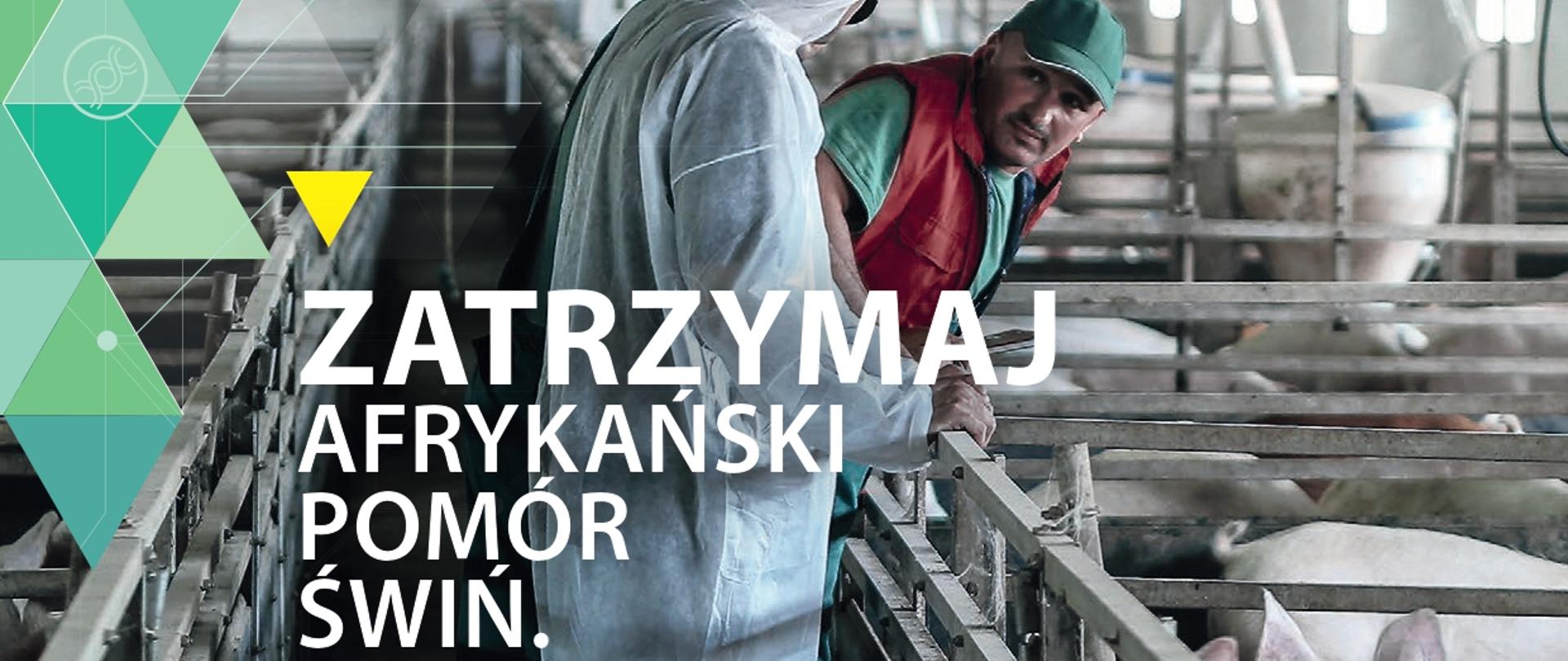 Grafika - zatrzymaj afrykański pomór świń 