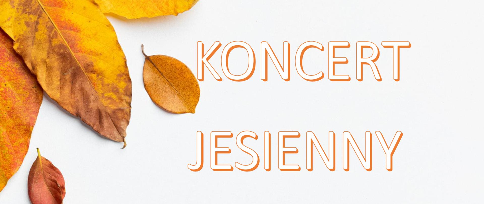 Plakat z wydarzeniem - Koncertem Jesiennym w wykonaniu sekcji instrumentów dętych, akordeonu i perkusji, który odbędzie się w ZPSM w Dębicy w dniu 29 listopada 2023r. o godz. 17:"00, tło plakatu jest białe w górnym lewym rogu i dolnym prawym rogu umieszczone są liście, napisy w kolorze białym z cieniem pomarańczowym