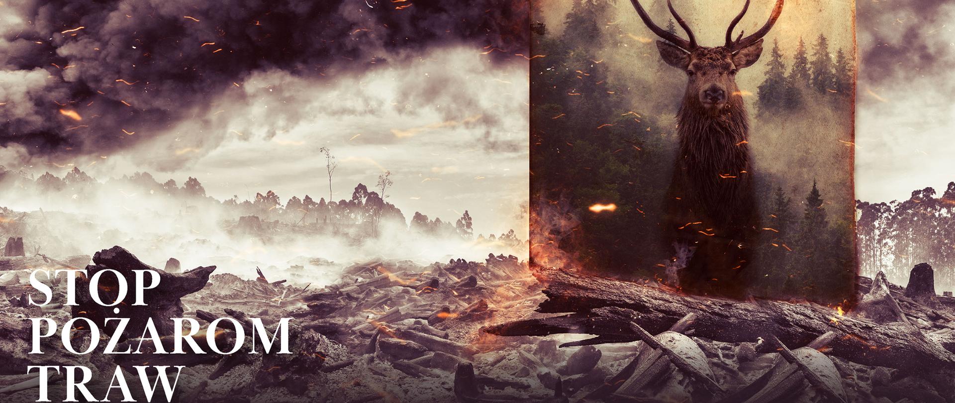 Zdjęcie przedstawia plakat kampanii na którym widać pożar lasu