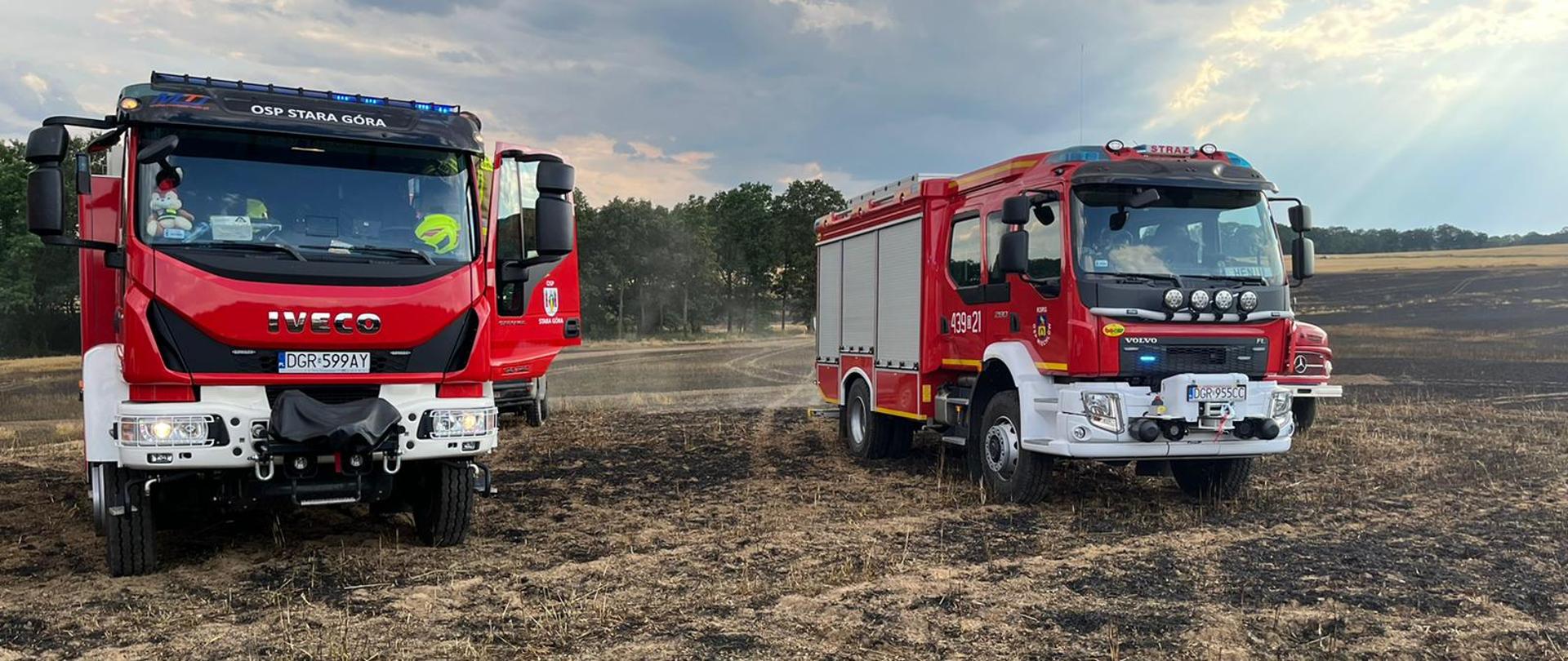 Łęczyca - pożar zboża na pniu