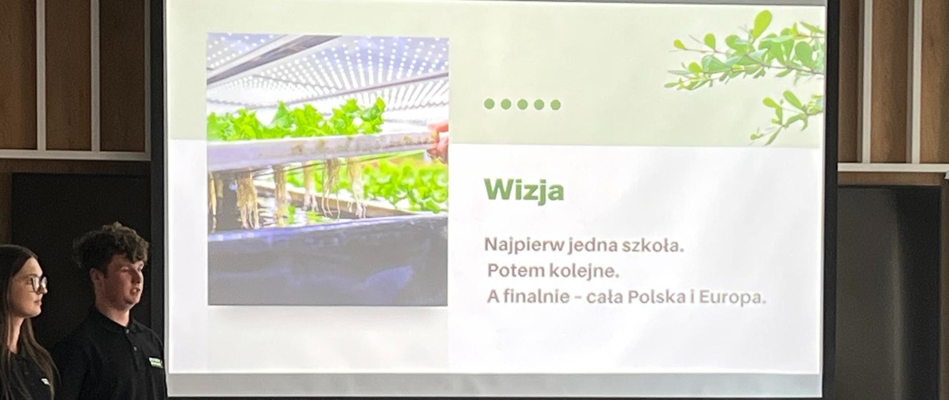 Prezentacje pomysłu - na scenie zespół z Mokrzeszowa