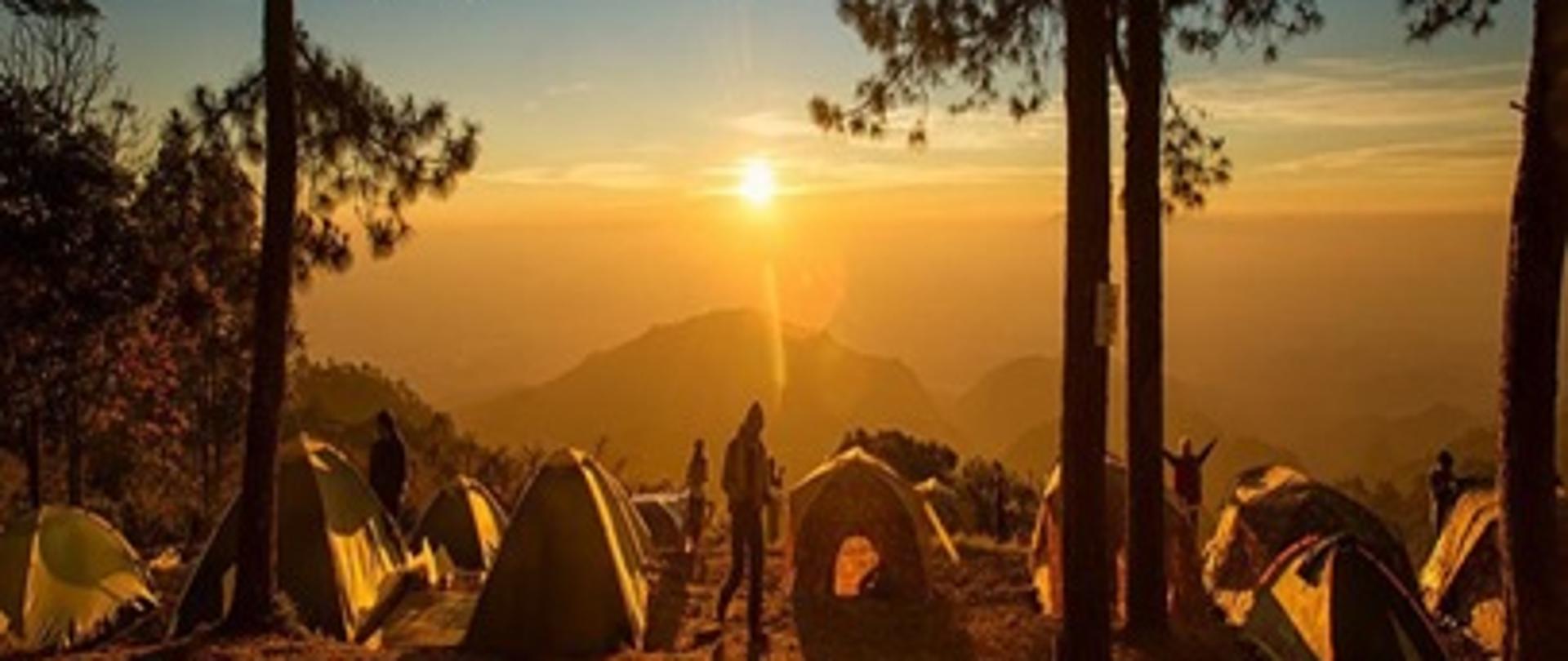 Obraz przedstawia obóz namiotwy na polanie koło lasu