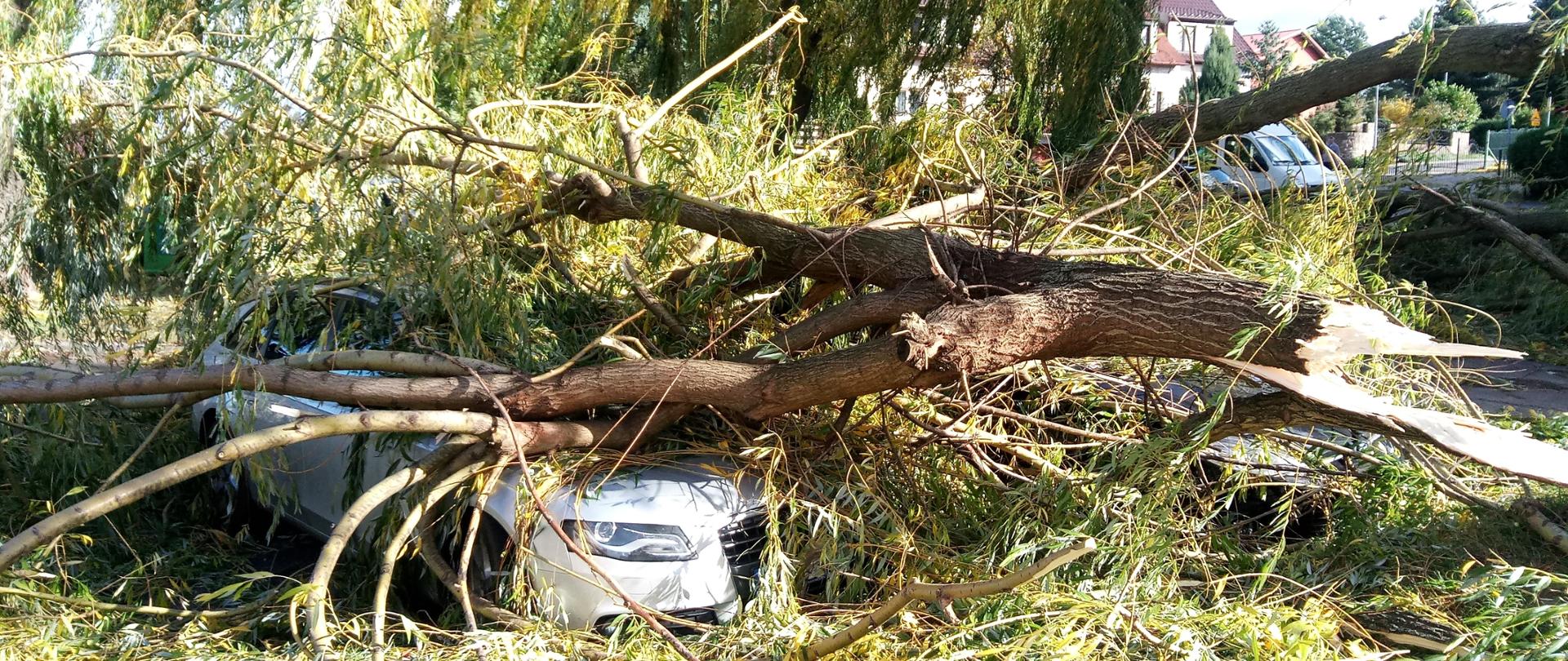 Działania strażaków podczas wichur