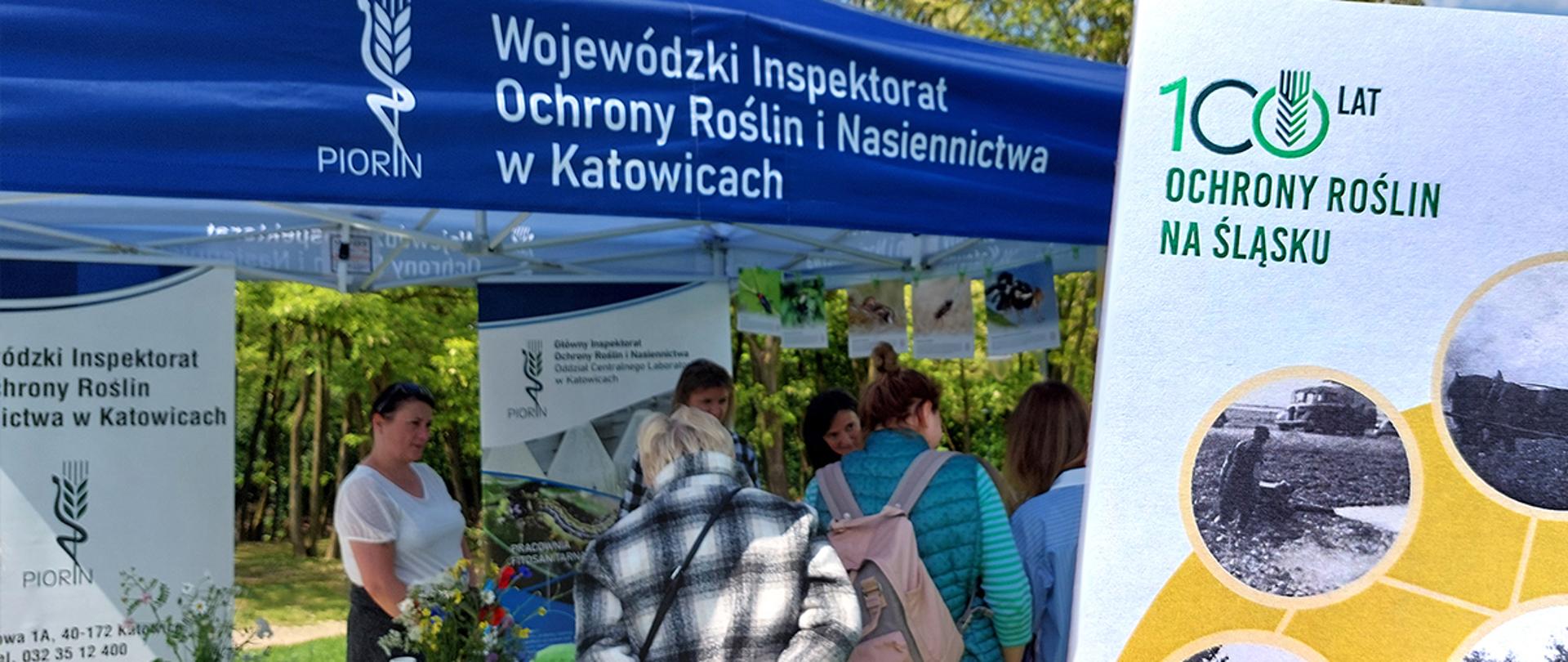 Piknik Dzień Niezapominajki. na zdjęciu widoczne stoisko WIORIN w Katowicach