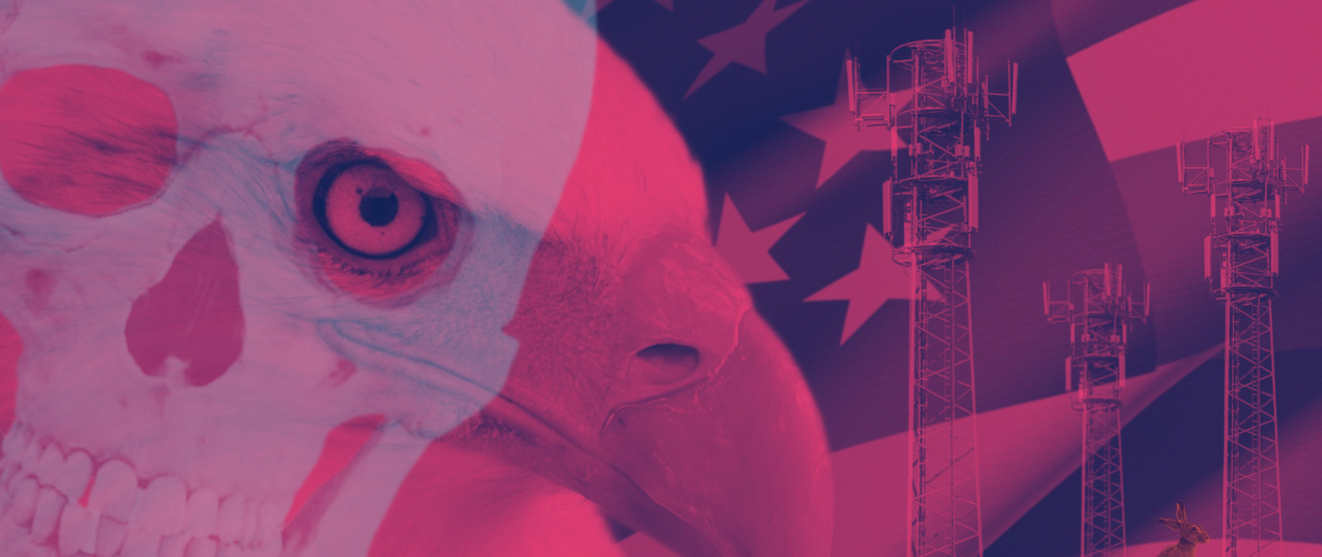 Główną część grafiki stanowi zdjęcie flagi USA i głowy amerykańskiego orła. Całość w tonacji czerwonej. Na zdjęcie nałożone obrazy ludzkiej czaszki i masztów telekomunikacyjnych.