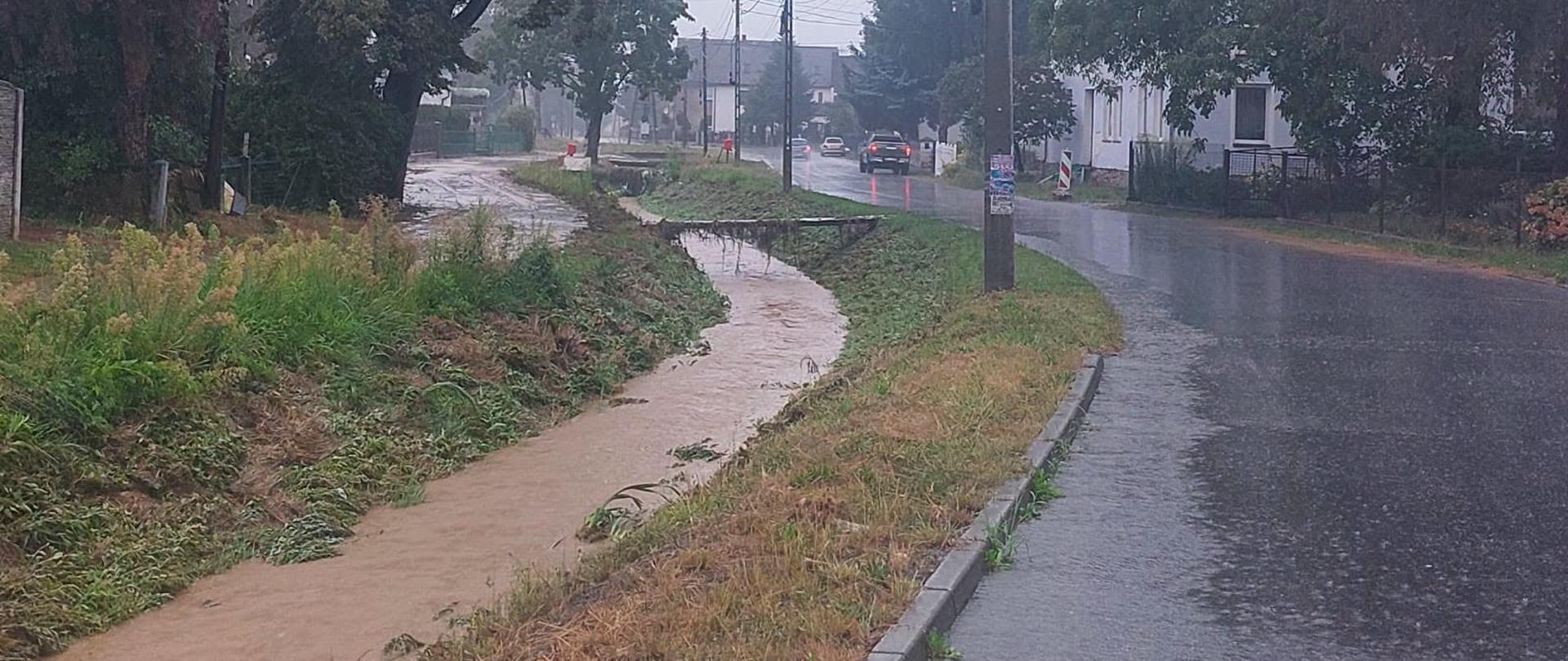 Działania Wód Polskich w Głuchołazach - Potok Bodzanowski