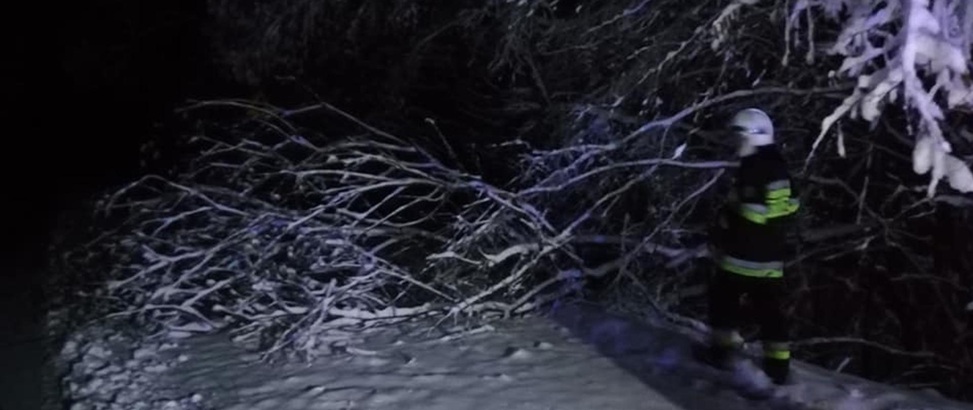 Na zdjęciu widoczny strażak w ubraniu specjalnym koloru czarnego w białym hełmie podczas działań związanych z usuwaniem skutków opadów śniegu i wiatru. Na zaśnieżonej drodze znajduje się powalone drzewo, które strażak usuwania z drogi tnąc pilarką do drewna gałęzie.