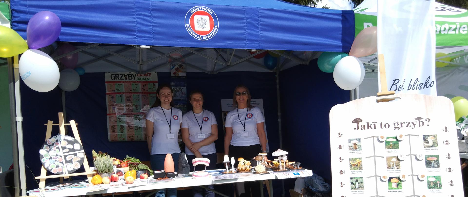 Pracownicy Powiatowej Stacji Sanitarno-Epidemiologicznej w Golubiu-Dobrzyniu podczas wydarzenia "Dożynki Gminne Gminy Ciechocin", które odbyły się w Miliszewach
