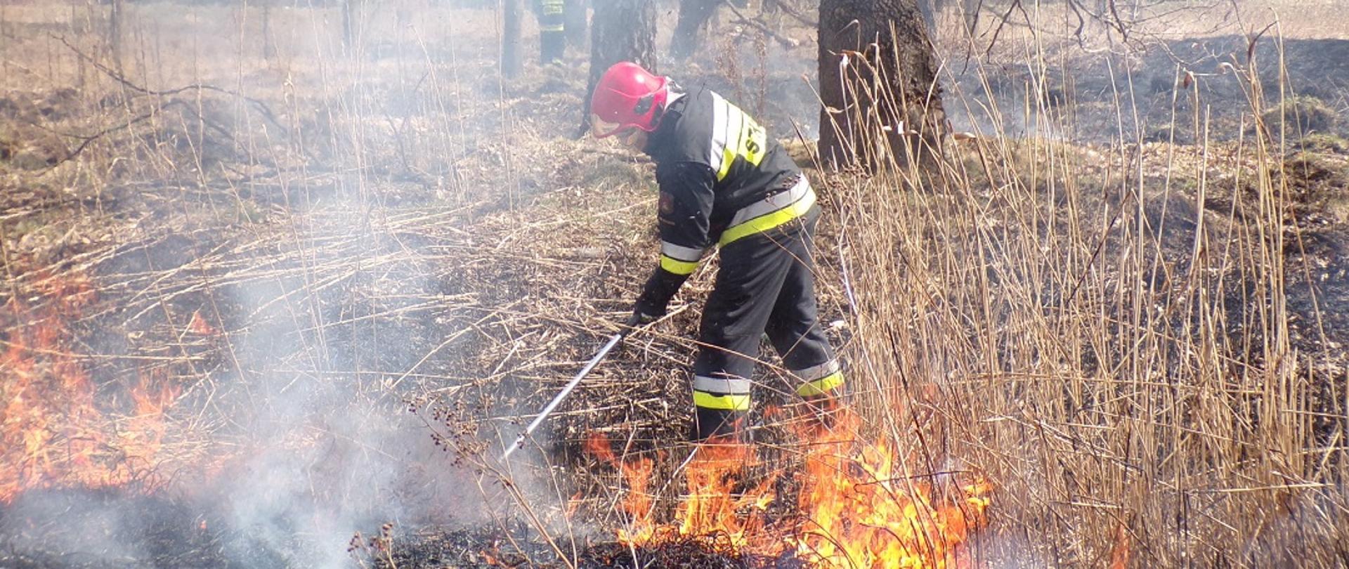 Na zdjęciu widzimy strażaka gaszącego pożar trawy na nieużytkach tłumicą. Na dalszym planie widzimy strażaka gaszącego pożar trawy za pomocą wody.