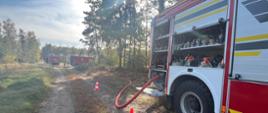 Na pierwszym planie po prawej stronie kadru znajduje się tył i prawy bok czerwonego wozu strażackiego z otwartą skrytką sprzętową, z której wyprowadzono gruby, elastyczny wąż tłoczny w kolorze czerwonym. Poniżej pojazdu, na poboczu piaszczystej drogi leśnej, ustawiono dwa biało-czerwone pachołki ostrzegawcze zabezpieczające teren działań zaopatrzenia wodnego. W lewej części zdjęcia ciągnie się leśna droga gruntowa, na której w oddali widoczne są inne zaparkowane samochody ratowniczo-gaśnicze. W tle wznoszą się korony drzew iglastych, nad którymi świeci ostre, jasne słońce. Zdjęcie wykonano w bardzo słoneczny dzień przy pogodnym niebie z wyrazistymi refleksami świetlnymi.