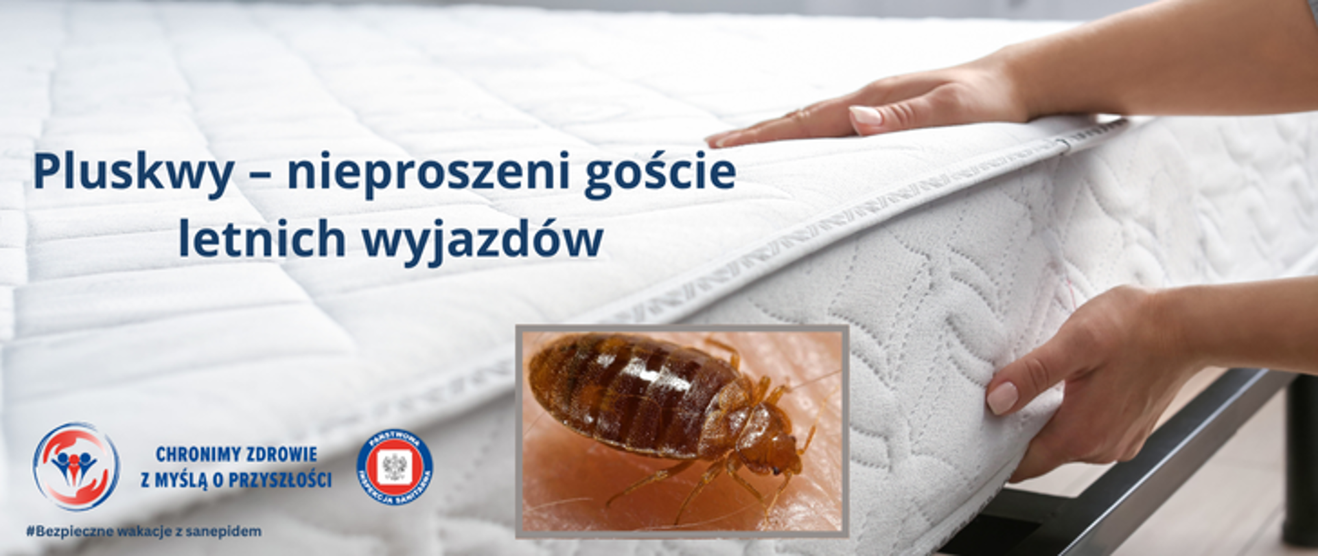 Zdjęcie przedstawie dłonie kobiety, która podnosi do góry biały materac łóżka. Na środku grafiki w ramce znajduje siępluskwa. Na środku zdjęcia umieszczono napis Pluskwy - nieproszeni goście letnich wyjazdów. W lewym dolnym rogu znajduje się napis "Cgronimy zdrowie z myślą o przyszłości, a przy nim dwa loga Inspekcji Sanitarnej.
