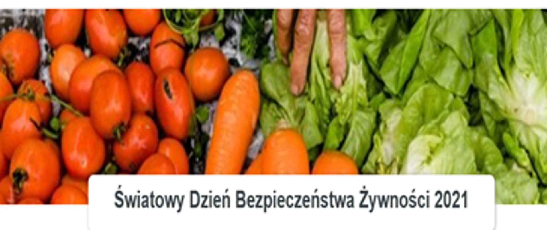 Na obrazku widoczne są warzywa: z lewej strony pomarańczowe pomidory, następnie marchewką i po prawej stronie zielona sałata. Na dole widnieje napis na białym tle czarne litery: "Światowy Dzień Bezpieczeństwa Żywności 2021.