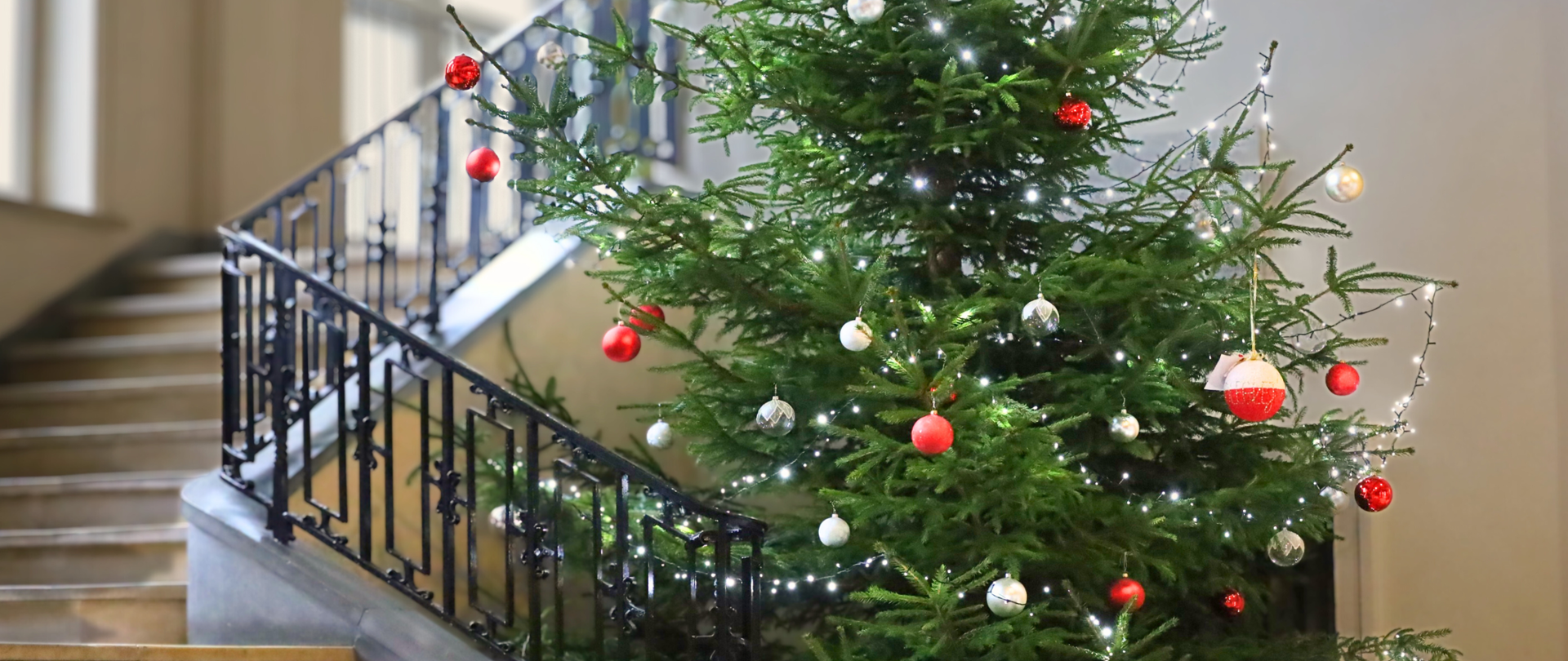 choinka ozdobiona biało czerwonymi bombkami