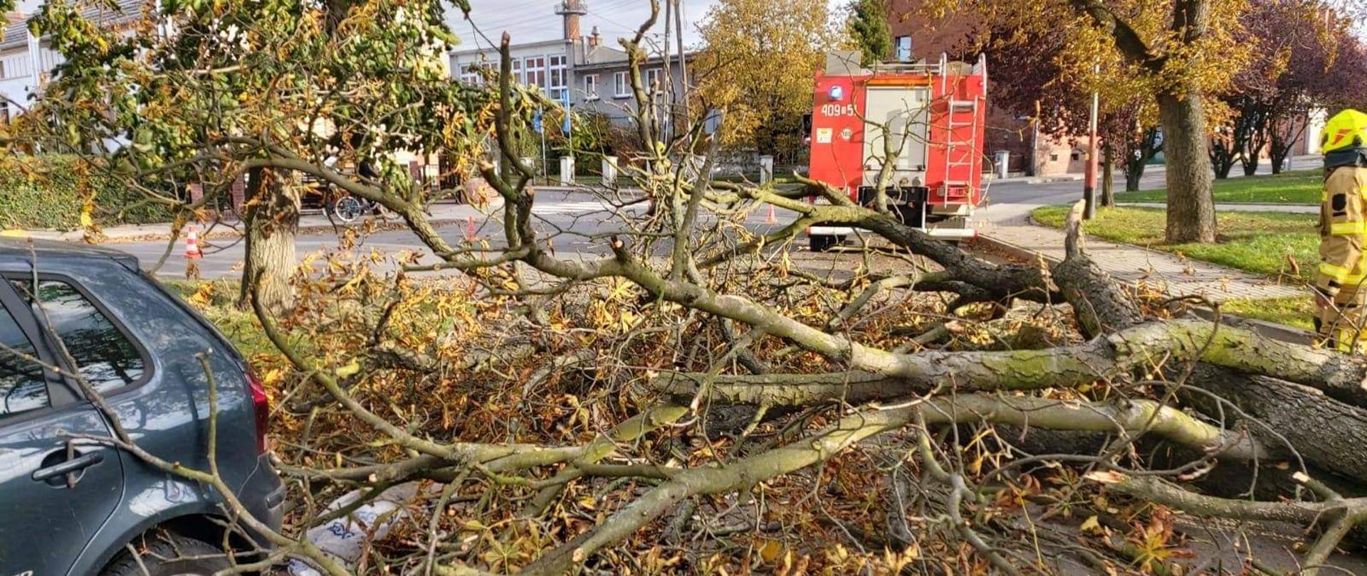 Podsumowanie zdarzeń w dniach 18.10-25.10.2021 r.