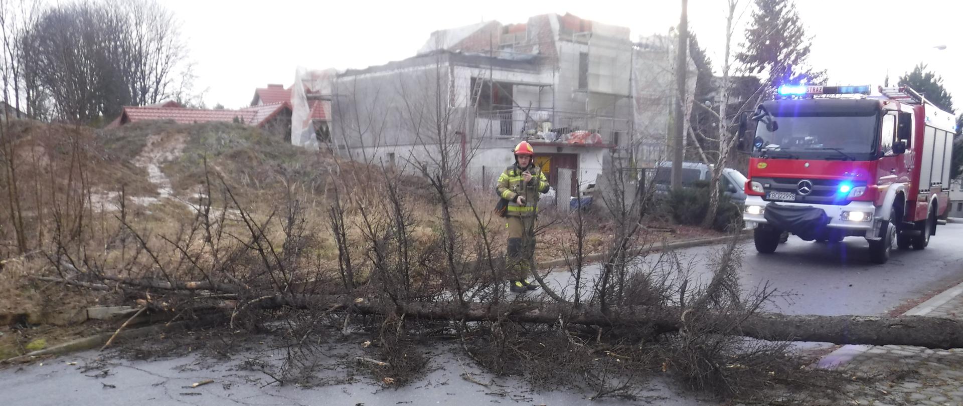 Zdjęcie przedstawia powalone drzewo na drogę które uniemożliwia przejazd. Za powalonym drzewem stoi strażak ubrany w piaskowy mundur i czerwony hełm. Za strażakiem stoi czerwony pojazd pożarniczy z włączonymi niebieskim światłami błyskowymi. Po lewej stronie za pojazdem stoi budynek w trakcie budowy, do ścian postawione jest rusztowanie, a przed budynkiem stoi zaparkowany niebieski samochód osobowy. 