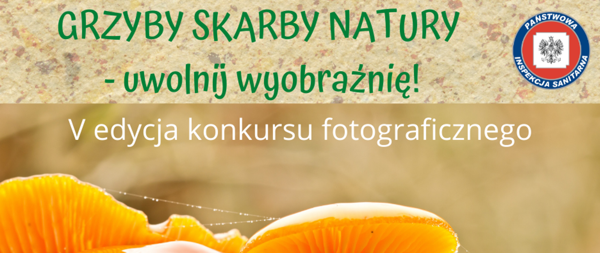 V Wojewódzki Konkurs fotograficzny pt „Grzyby - skarby natury”. 