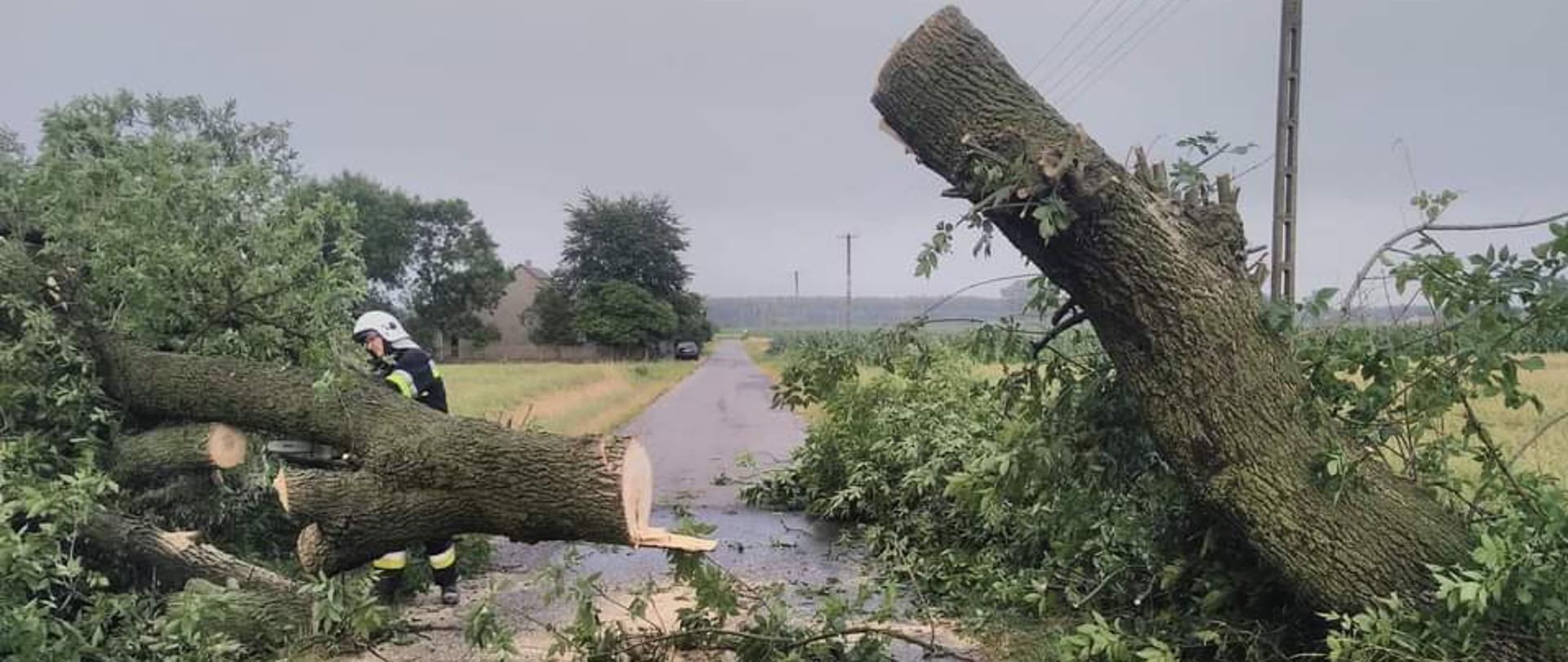 Burze i silne wiatry nad pow. pajęczańskim