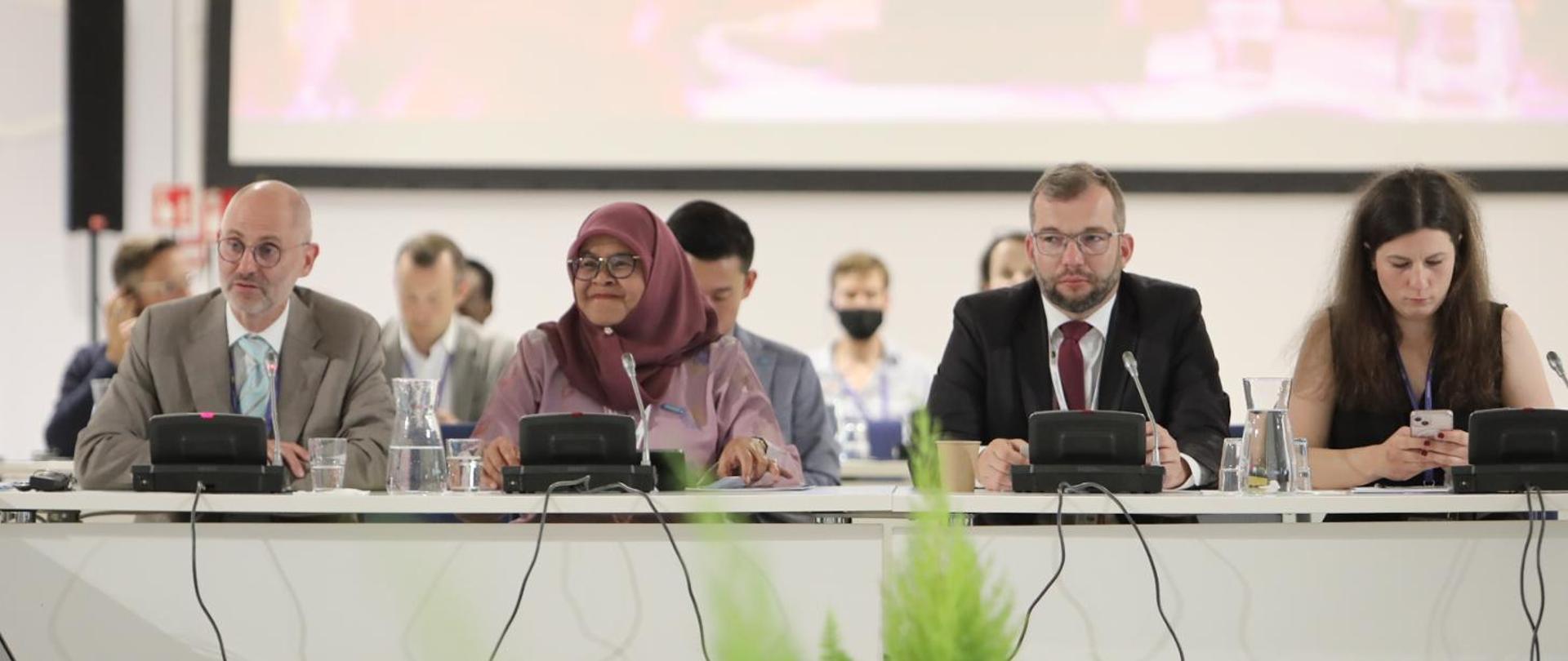 On national urban policies in a changing world at WUF11