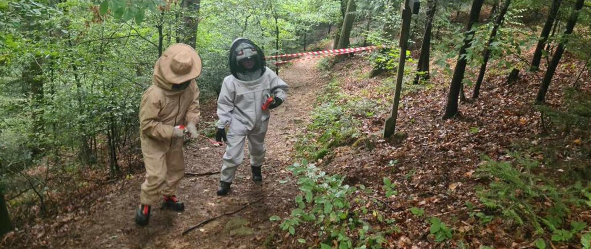 Strażacy likwidują gniazdo szerszeni