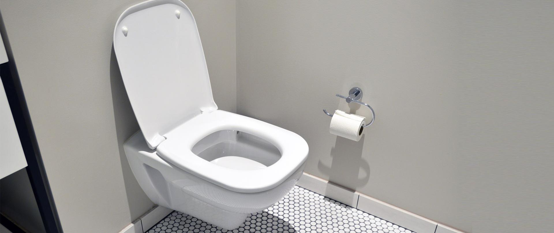 Zdjęcie przedstawiające toaletę. Obok wisi rolka papieru toaletowego.