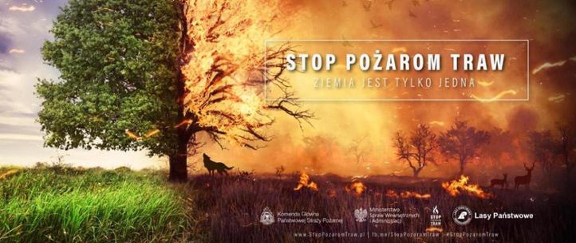 Graficzny plakat edukacyjny podzielony kontrastowo na dwie części, ostrzegający przed skutkami wypalania traw. Lewa strona ukazuje tętniące życiem, zielone drzewo stojące na soczystej, pełnej słońca polanie. Prawa strona dramatycznie przechodzi w scenę pożaru – to samo drzewo staje w płomieniach, a wokół rozciąga się spalona, zadymiona ziemia, z której uciekają dzikie zwierzęta (widoczne sylwetki wilka oraz jeleni). W prawym górnym rogu, w ramce, umieszczono biały napis: „STOP POŻAROM TRAW”, a poniżej mniejszą czcionką: „ZIEMIA JEST TYLKO JEDNA”. Na dole plakatu znajdują się logotypy oraz nazwy instytucji odpowiedzialnych za akcję: Komendy Głównej Państwowej Straży Pożarnej, Ministerstwa Spraw Wewnętrznych i Administracji oraz Lasów Państwowych.