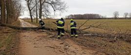 Powiat sokólski - usuwanie skutków silnych wiatrów