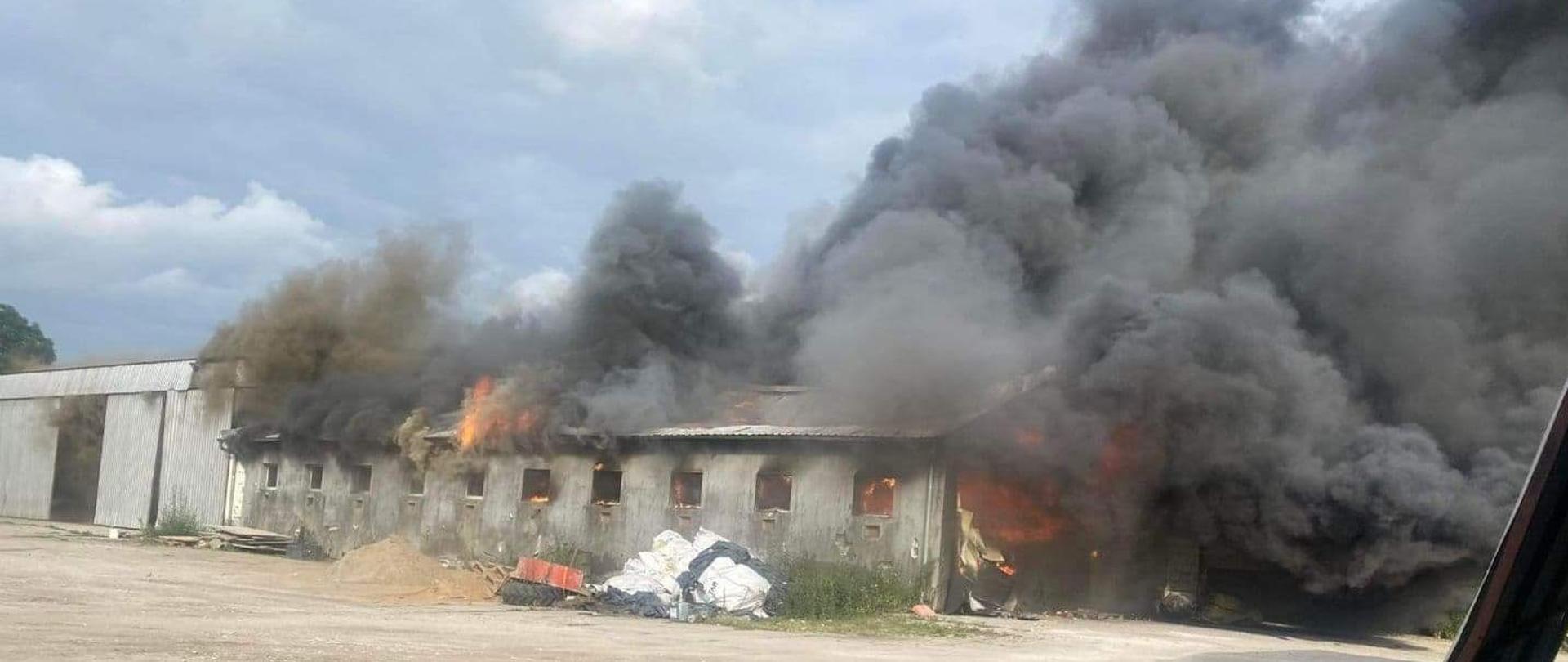 Na zdjęciu widać palący się budynek gospodarczy, dostrzegalne są płomienie ognia oraz widoczny jest czarny gęsty dym.