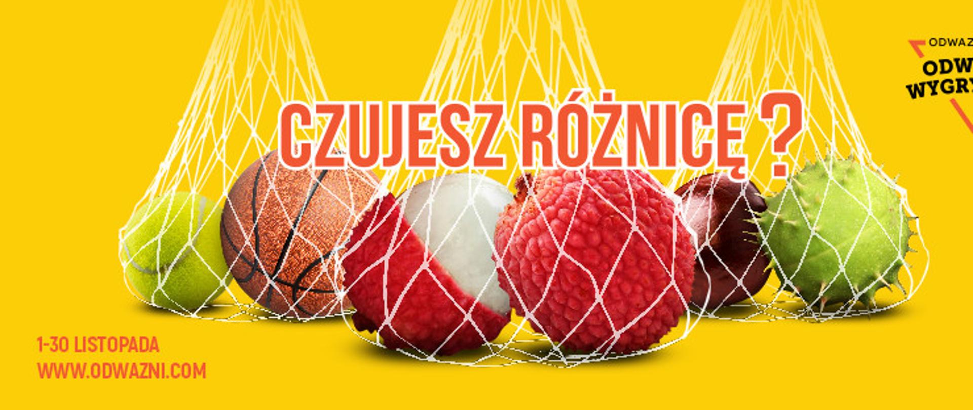 Listopad miesiącem profilaktyki raka jądra