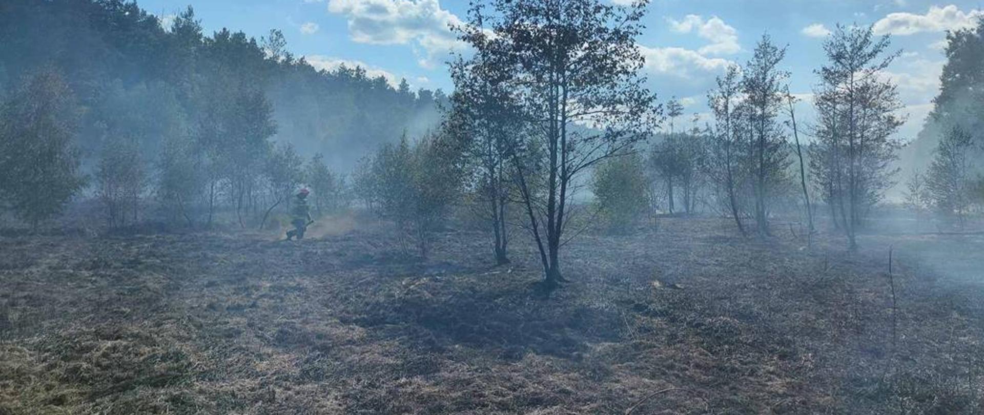 Działania ratownicze podczas pożaru w miejscowości Adamówka.