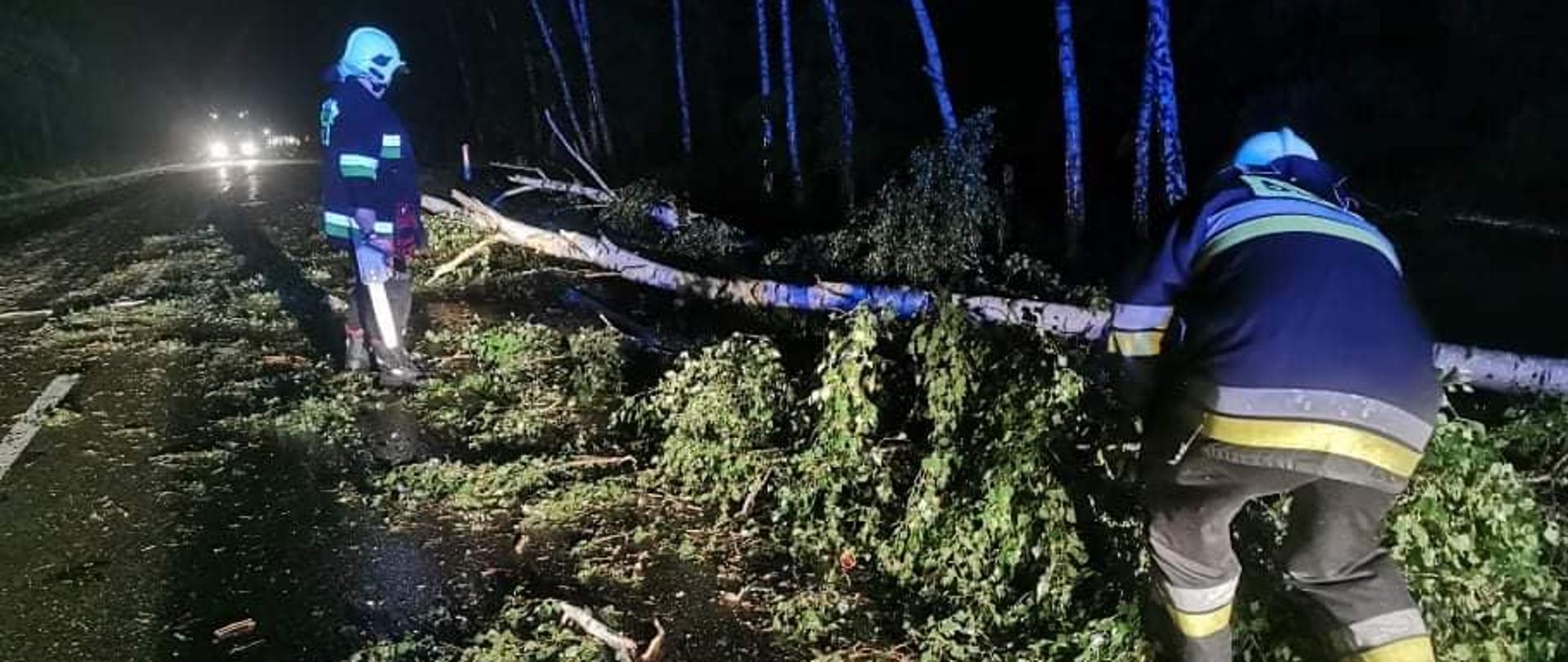 W porze nocnej, dwóch strażaków obcinających gałęzie drzewa leżącego na jedni. 
