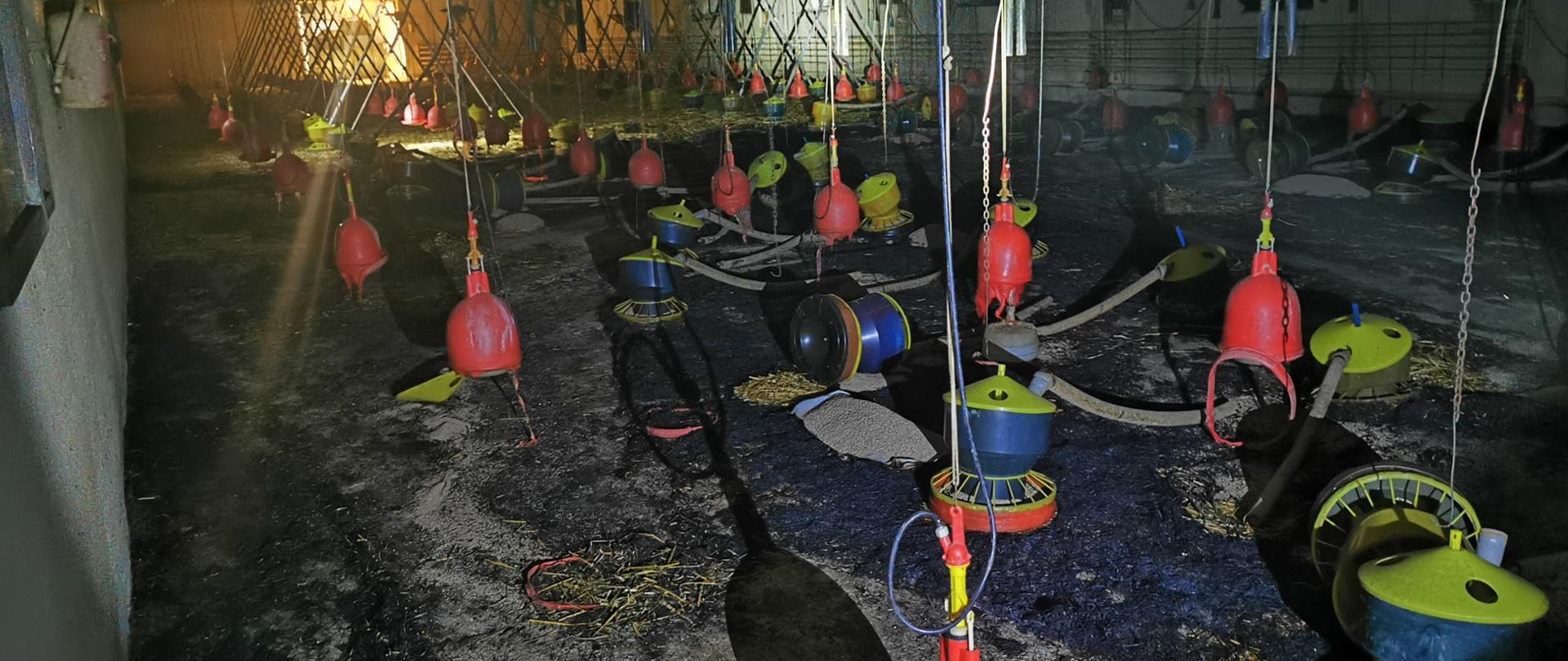 Wnętrze spalonego kurnika. Na całej jego powierzchni znajdują się częściowo stopione wodopoje oraz paśniki dla kur.