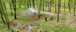 Zdjęcie przedstawia "gaszenie pożaru" w jednym z oddziałów leśnych