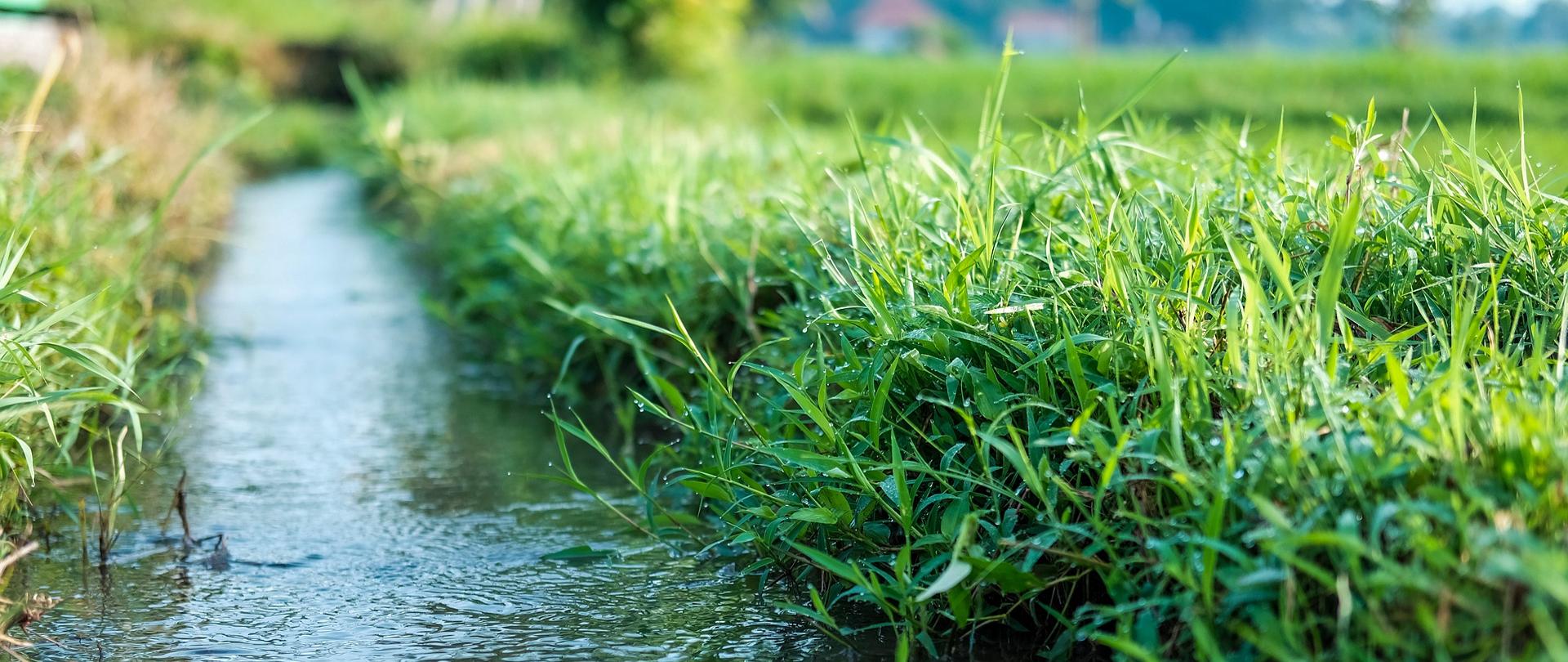 Dotacje dla spółek wodnych w Podlaskiem