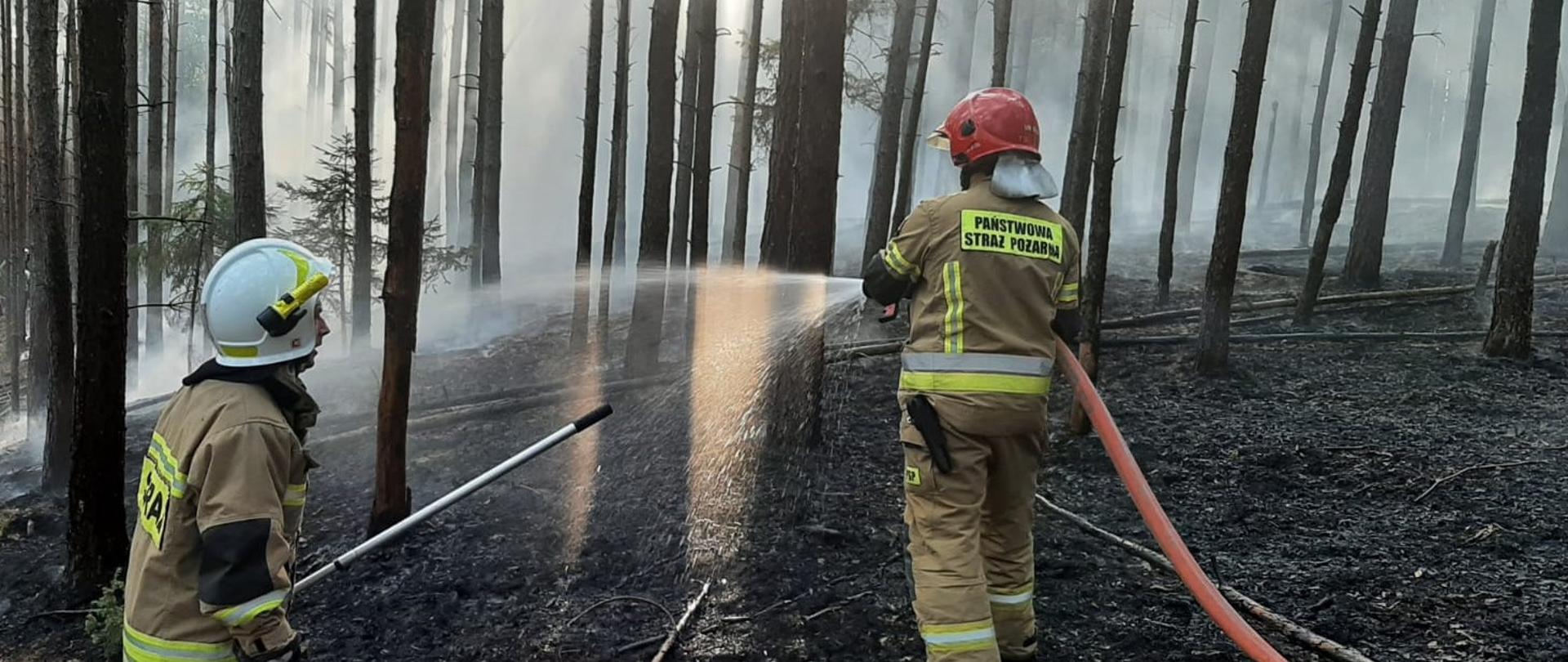 Pożar ściółki w lesie m. Kąciki 