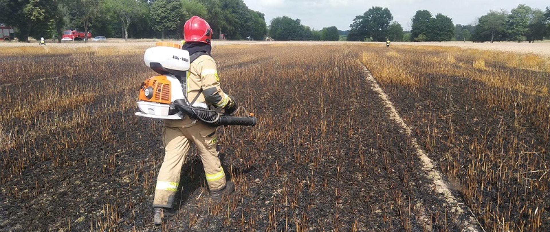 Pożar areału rolnego w miejscowości Kozia Góra. Zdjęcie przedstawia strażaka gaszącego pożar podręcznym sprzętem gaśniczym